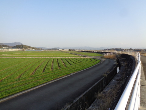 DSC03999