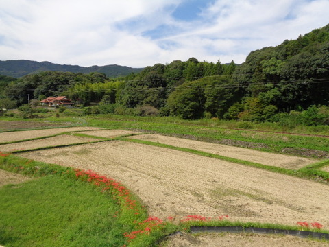 DSC02454