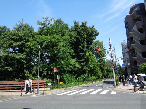 DSC00313