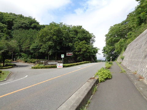 DSC02364