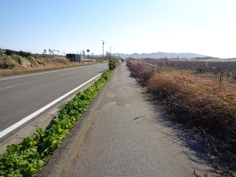 DSC01412