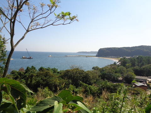 DSC09846