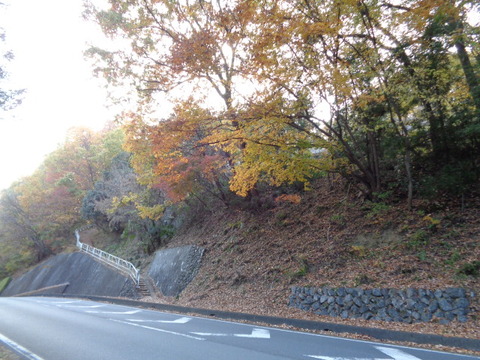 DSC04592