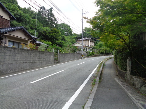 DSC06695