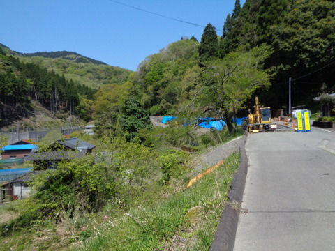 DSC03387