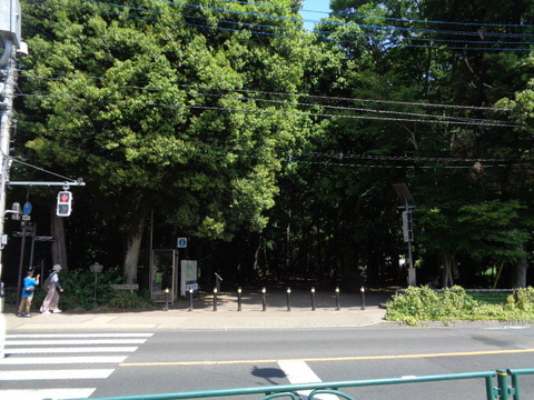 DSC00319