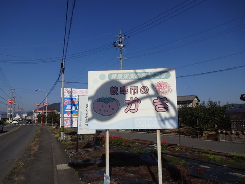 DSC00229