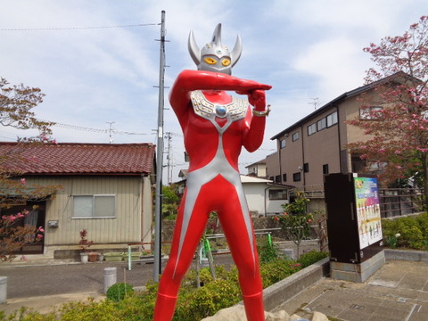 DSC01653
