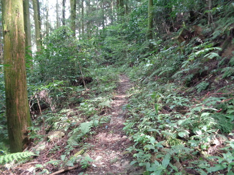 DSC02199