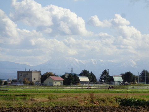 DSC03277