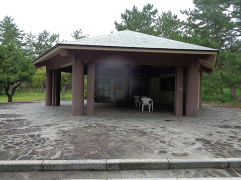 DSC06941