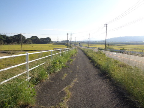 DSC00086