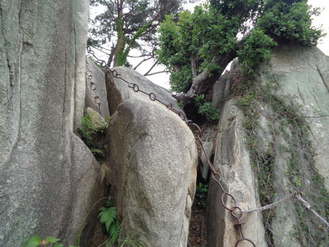 DSC09695