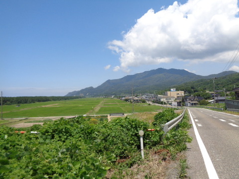 DSC08621