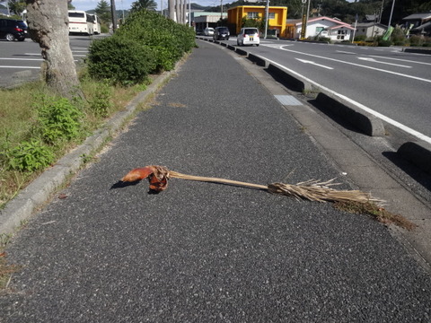 DSC09500