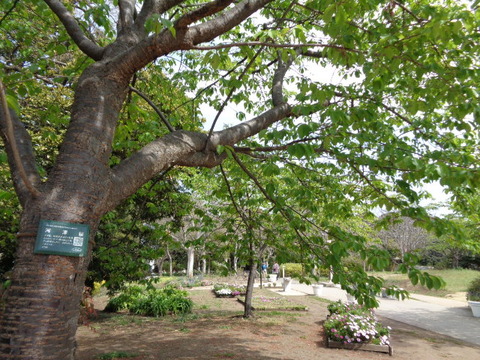 DSC07934