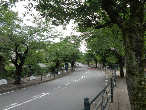 DSC02407