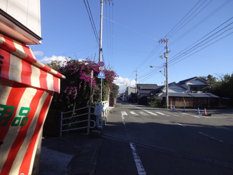 DSC01147