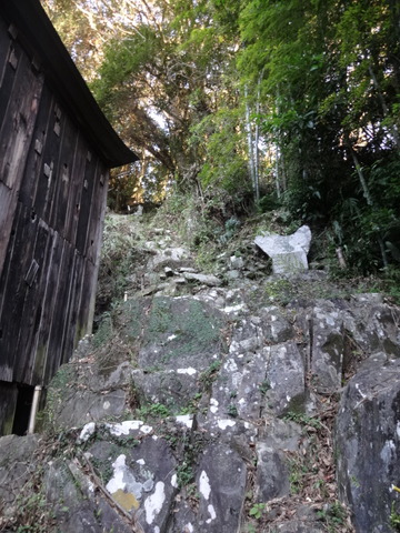 DSC02703