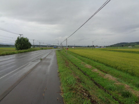DSC04052