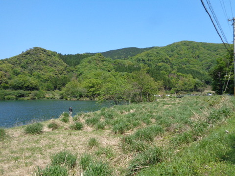 DSC03126