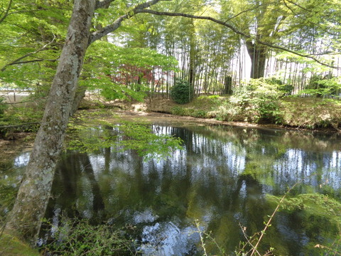 DSC01557