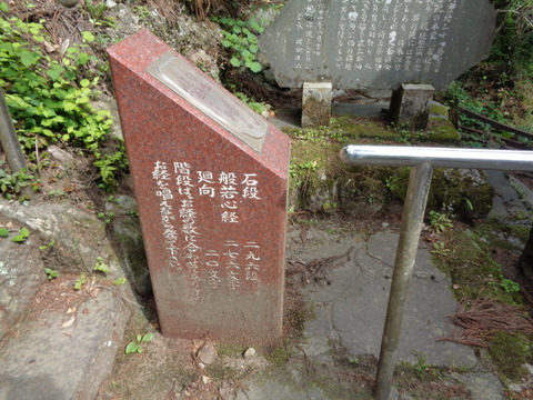 DSC03157
