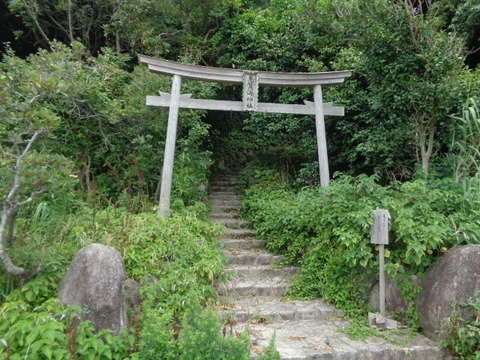 DSC00558