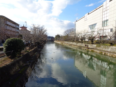 DSC03871