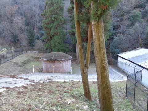 DSC03695