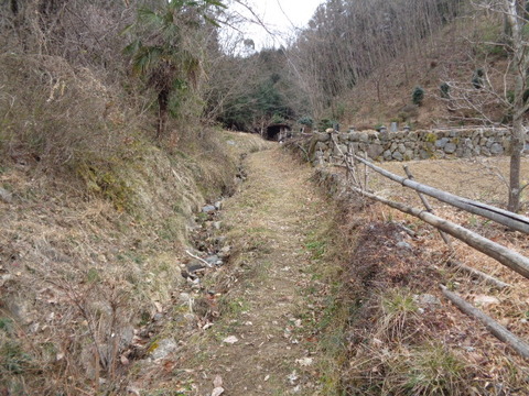 DSC08990
