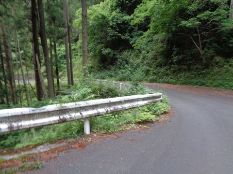 DSC03213
