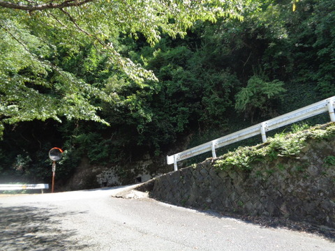 DSC01952
