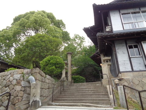 DSC09677
