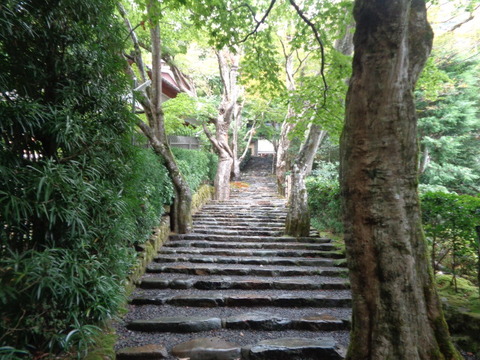DSC01529