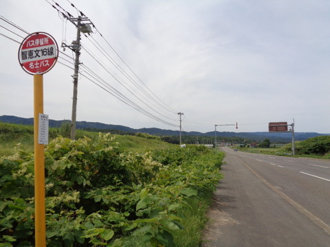 DSC04495