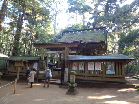 DSC08028