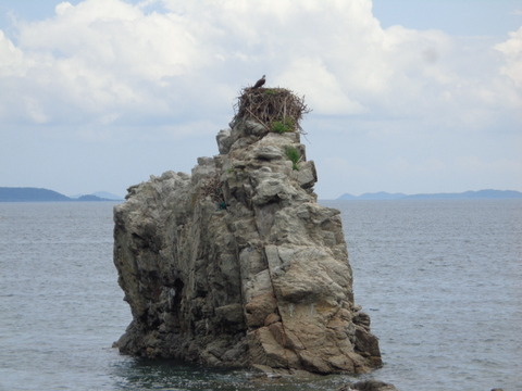 DSC00611