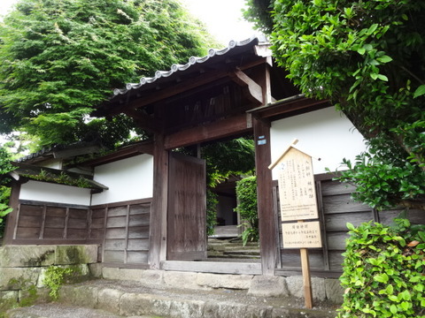 DSC07495