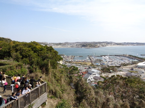 DSC07924