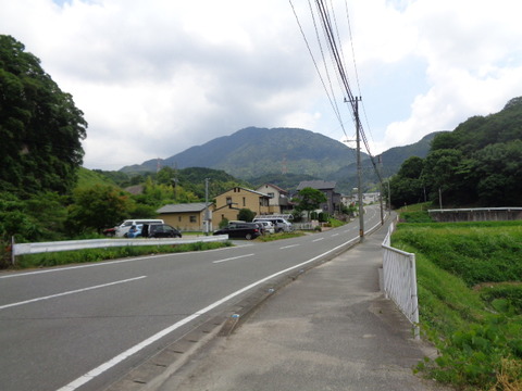 DSC06699