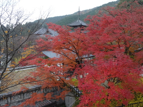 DSC01416