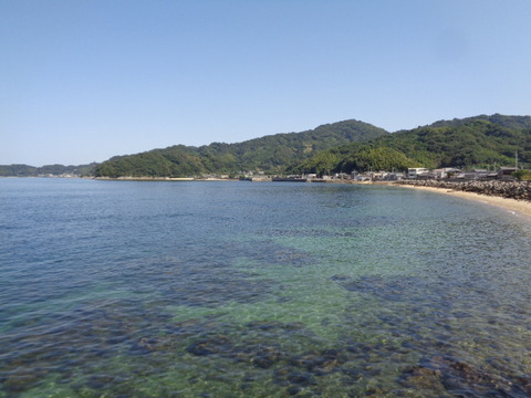DSC09389