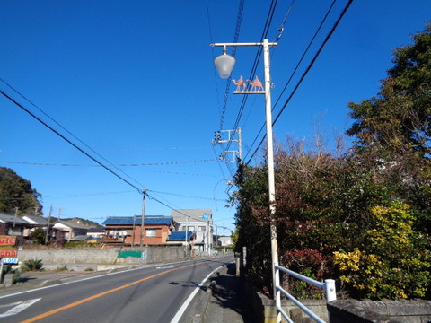 DSC02102