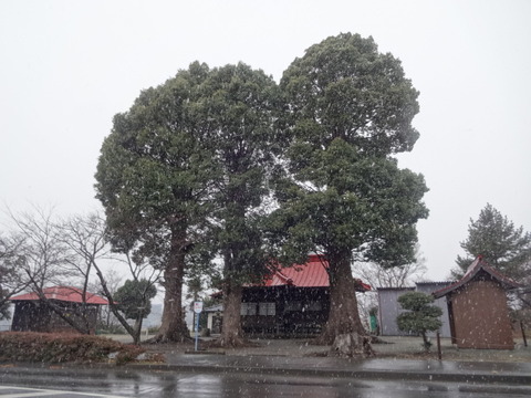 DSC04358