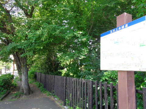 DSC00296
