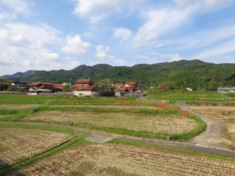 DSC02412