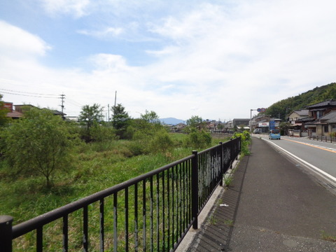 DSC02519
