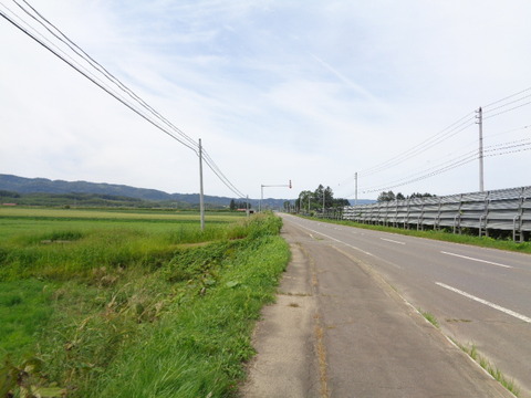 DSC04486