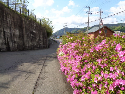 DSC02945
